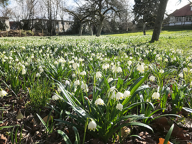 Gartentag